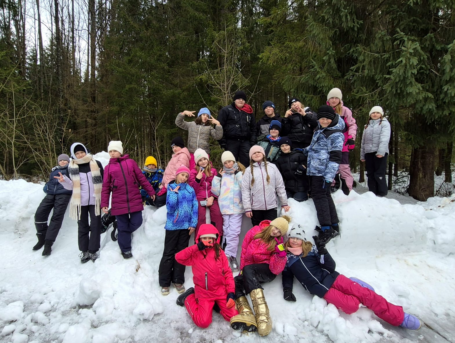 5a na kuligu w Dolinie Chochołowskiej