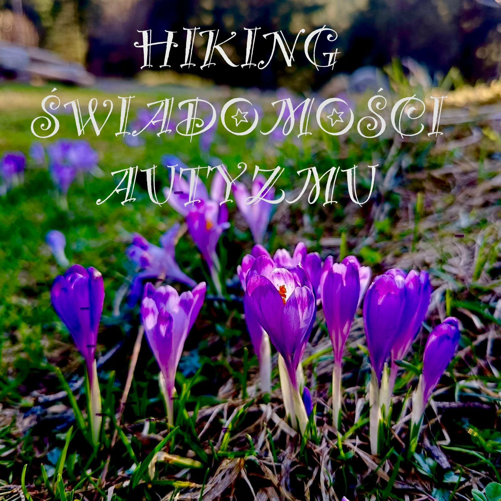 Hiking Świadomości Autyzmu