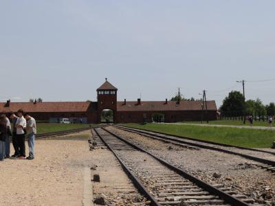 26.jpg